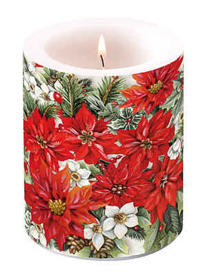 Christrosen-Weihnachtssternkerze