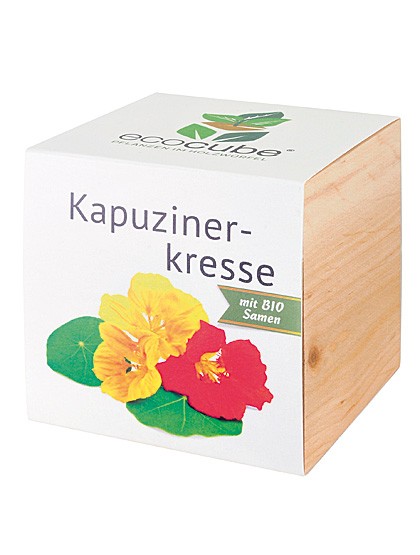 Kapuzinerkresse im Holzwürfel