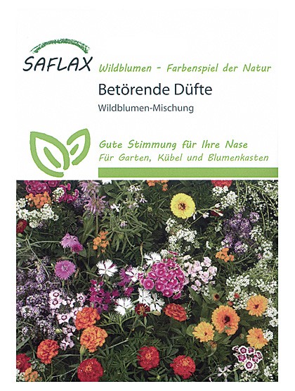 Wildblumen-Mischung