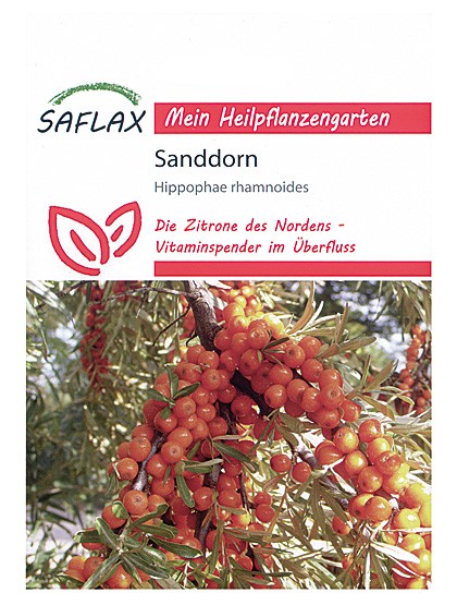 Sanddorn, die Zitrone des Nordens