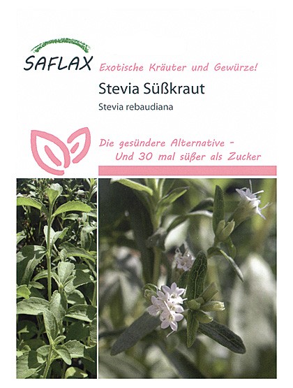 Stevia Süßkraut
