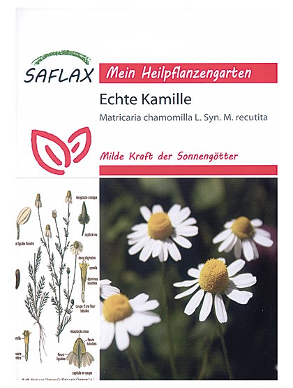 Echte Kamille