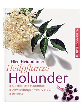 Heilpflanze Holunder