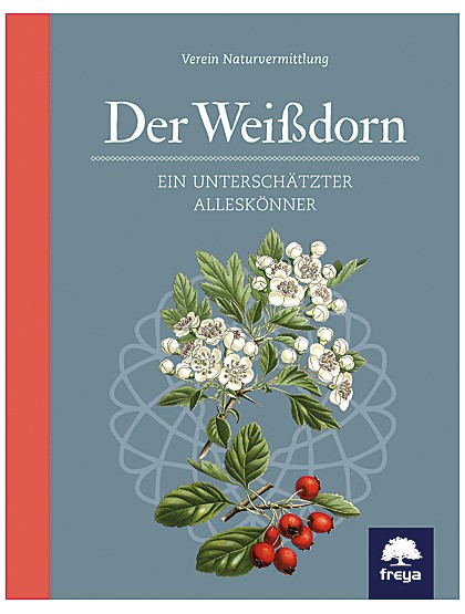 Der Weißdorn – ein unterschätzter Alleskönner