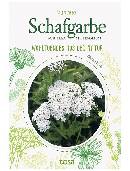 Schafgarbe