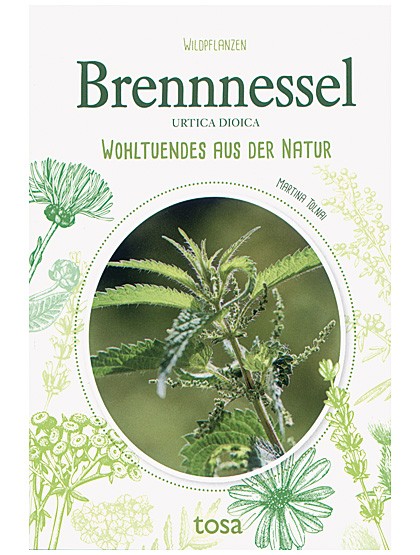 Brennnessel