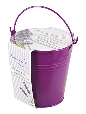 Lavendel für die Sinne