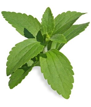 Stevia Blätter, geschnitten 