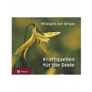 Kraftquellen für die Seelen - Hildegard v. Bingen
