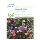 Wildblumen-Mischung