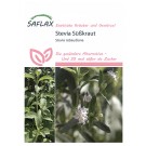 Stevia Süßkraut