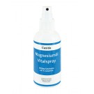 Magnesiumöl Vitalspray
