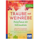 Traube und Weinrebe