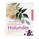 Heilpflanze Holunder