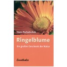Ringelblume - Ein großes Geschenk der Natur