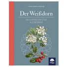 Der Weißdorn – ein unterschätzter Alleskönner