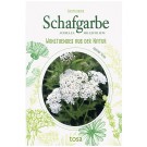 Schafgarbe
