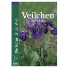 Veilchen - Viola Odorata