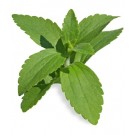 Stevia Blätter, gemahlen 